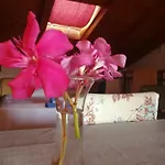 La Calletta