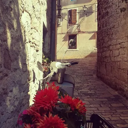 Apartmán La Calletta