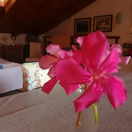 La Calletta Apartment *
