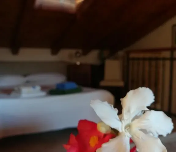 La Calletta Apartamento