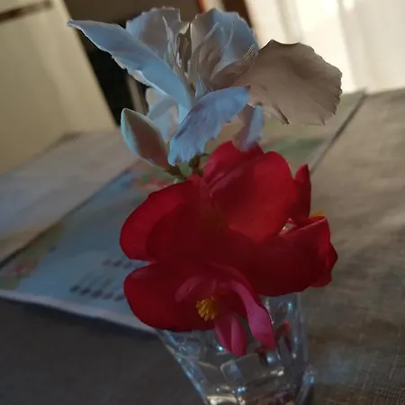 La Calletta * Rovinj