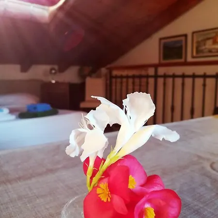 Appartement La Calletta