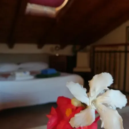 La Calletta Appartement