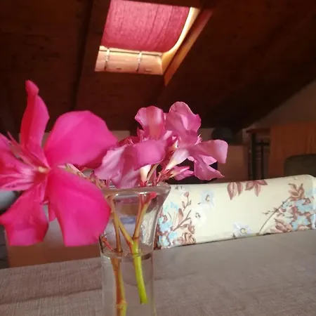 La Calletta * Rovinj